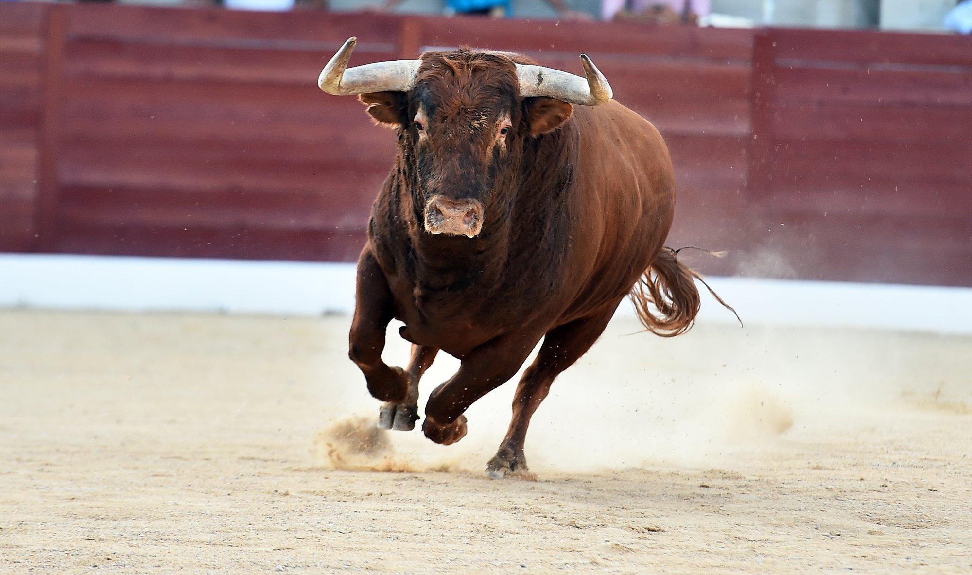 Running of the Bulls